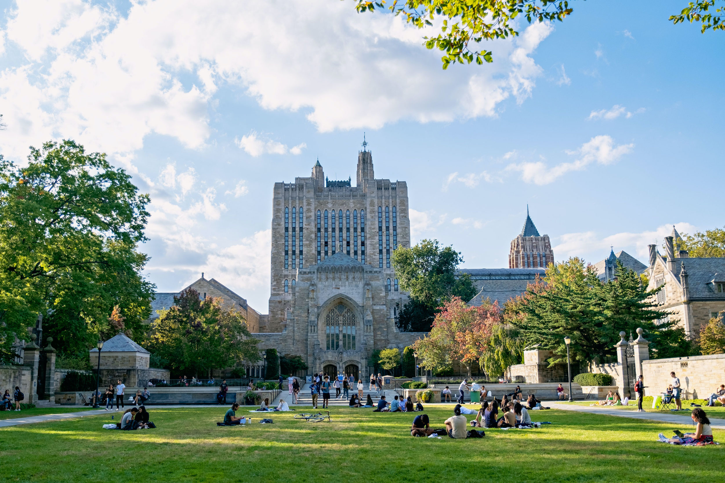 Campus green lawn