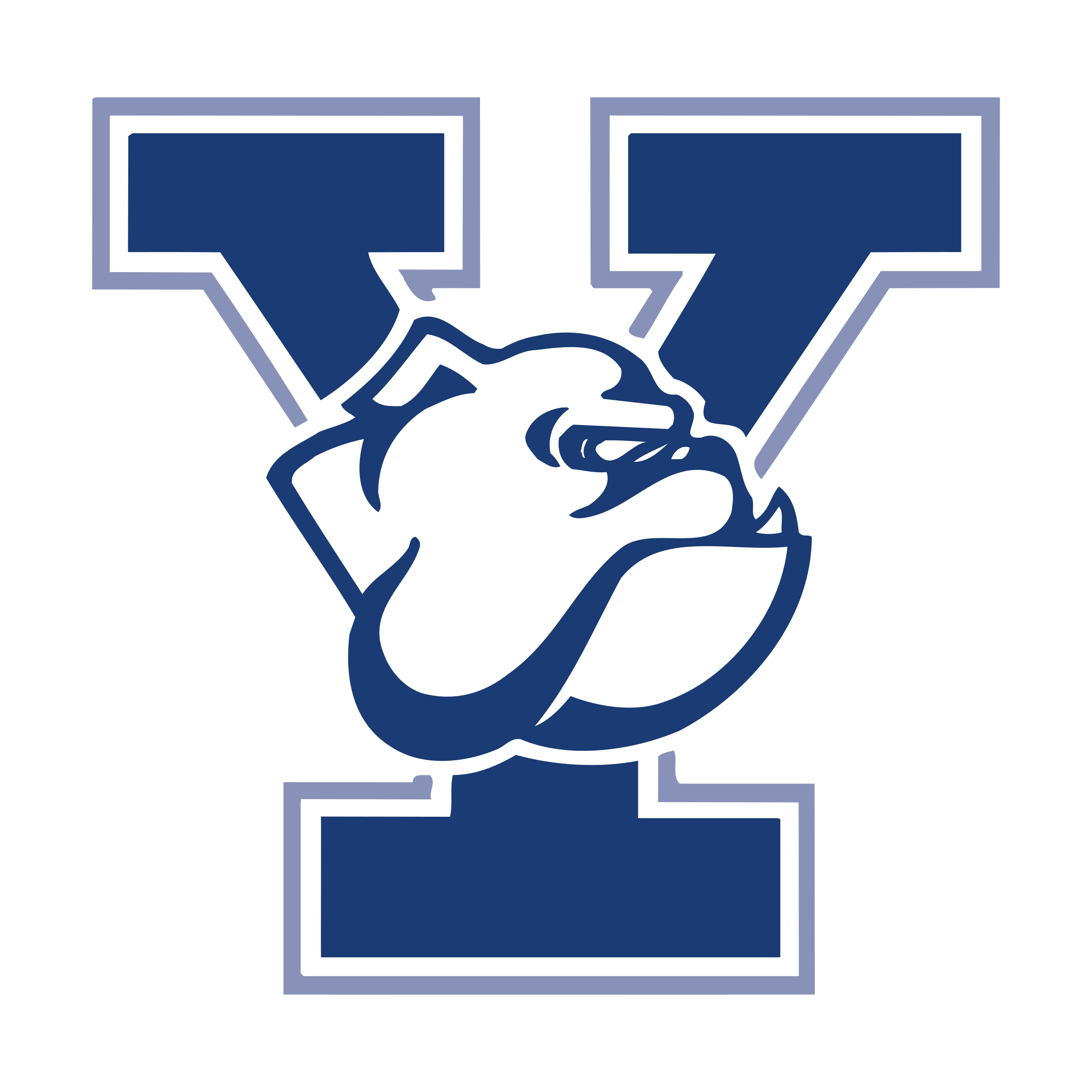 Yale Bulldogs
